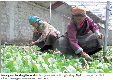Stronger economy provides Tibetan villagers with fresh produce