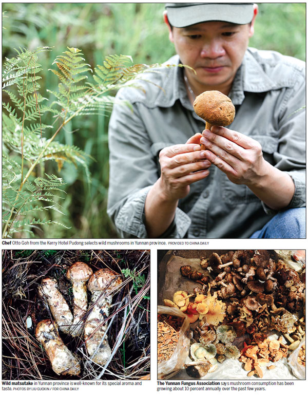 The mushrooming demand for mushrooms