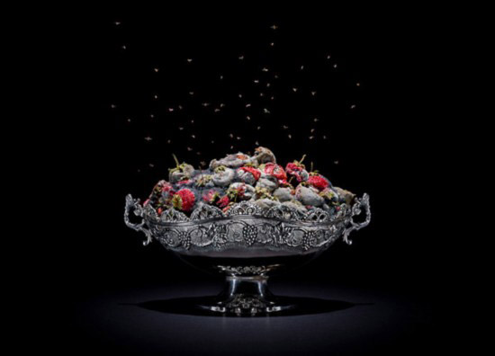 Photography of decayed food