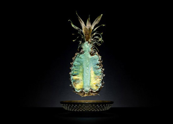 Photography of decayed food