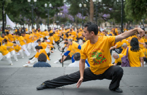 Foreigners pursue kung fu dream in Henan