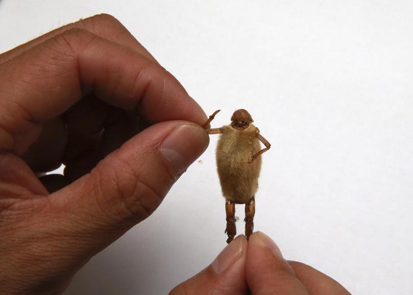Folk artist creates 'hairy monkeys'