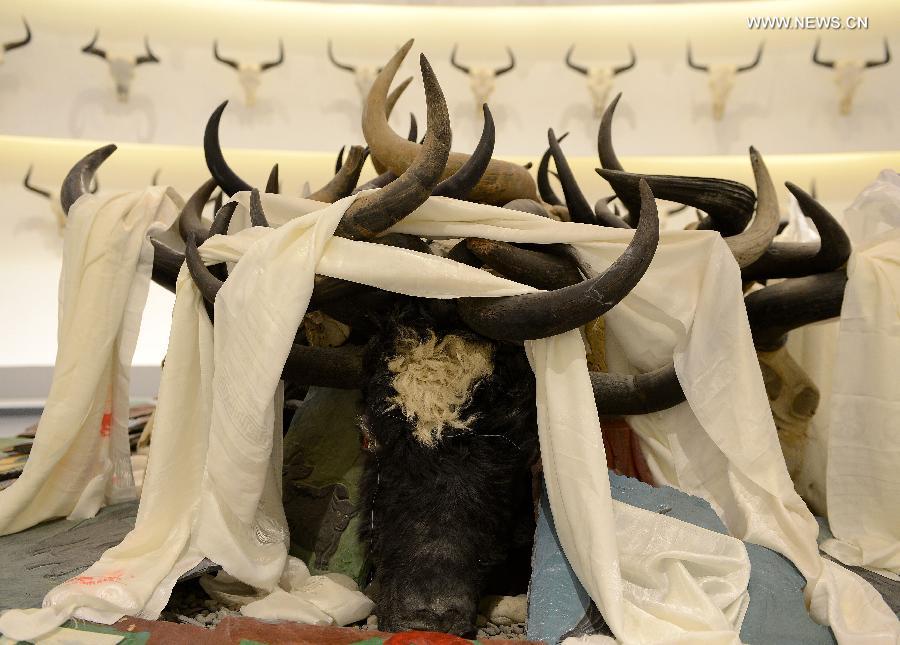 Yak Museum of Tibet opens to the public