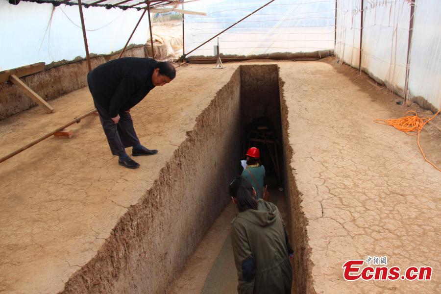 Earliest landscape mural of Tang Dynasty unearthed