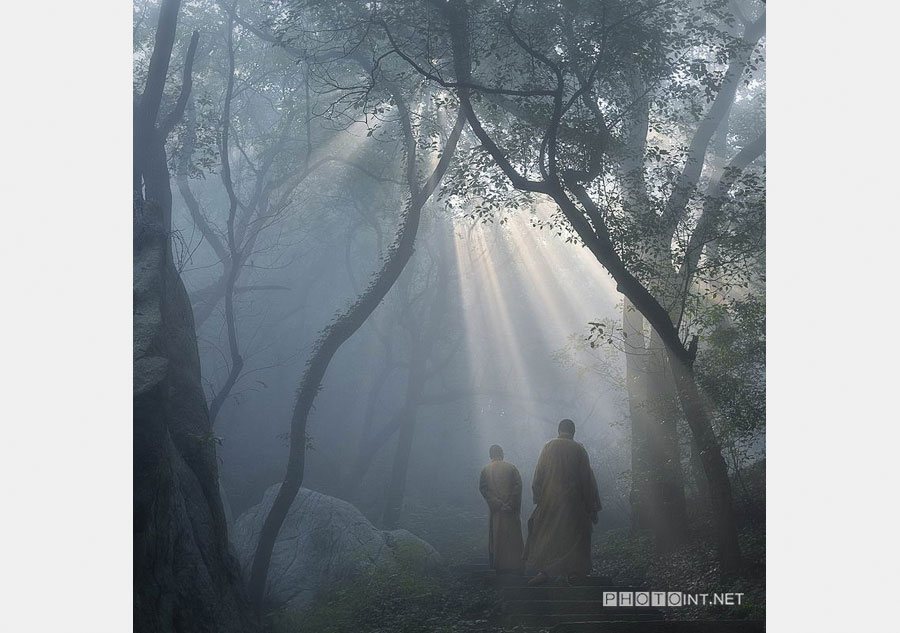Photos capture the path of Buddhism