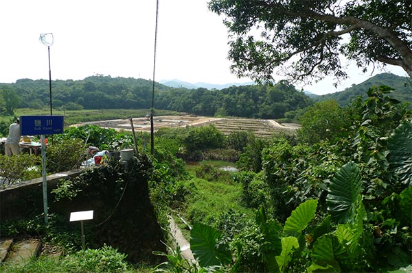 Five cities in China awarded UNESCO Asia-Pacific Awards