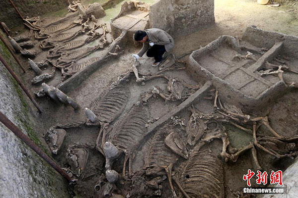 2,600-year-old tombs discovered in C China