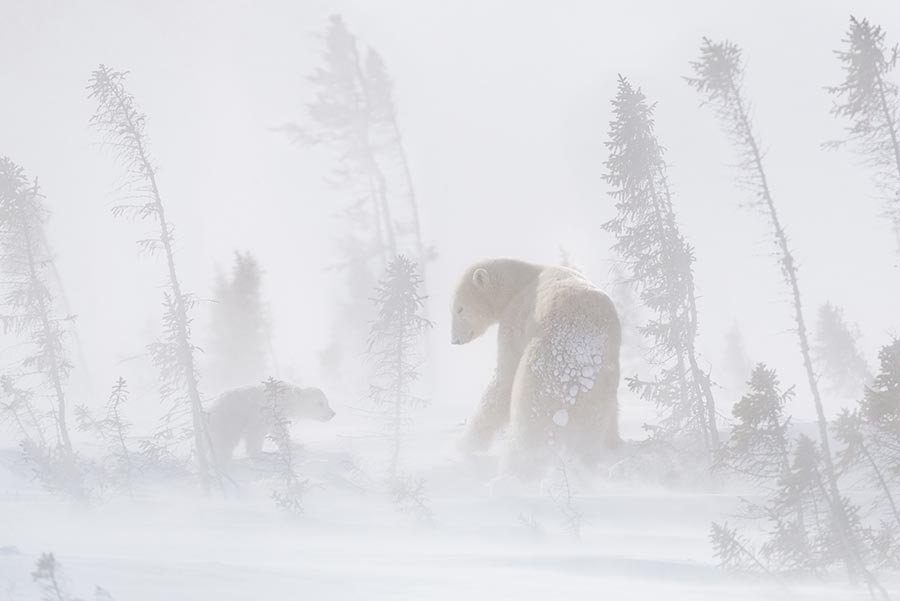 Canada in the eyes of photographers