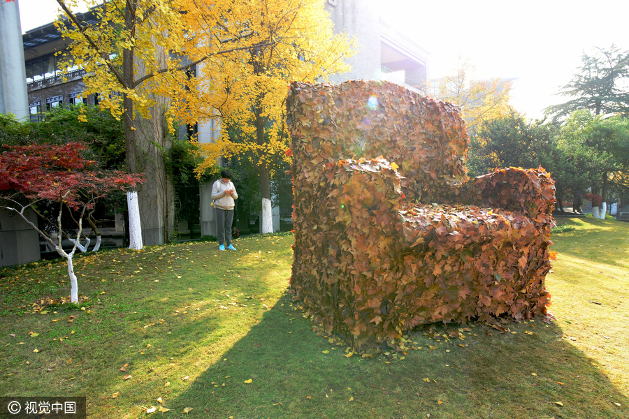 Foliage artworks, last glimpse of autumn in Hangzhou
