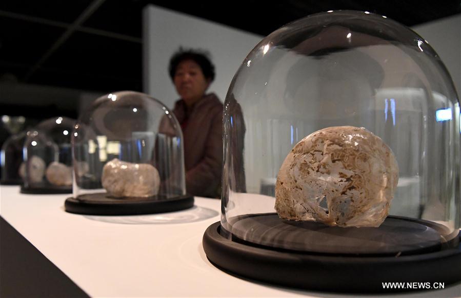 1st Central China International Ceramics Biennale opens to public