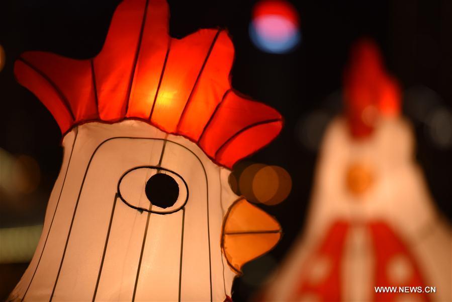 Lanterns in shape of rooster seen in NW China