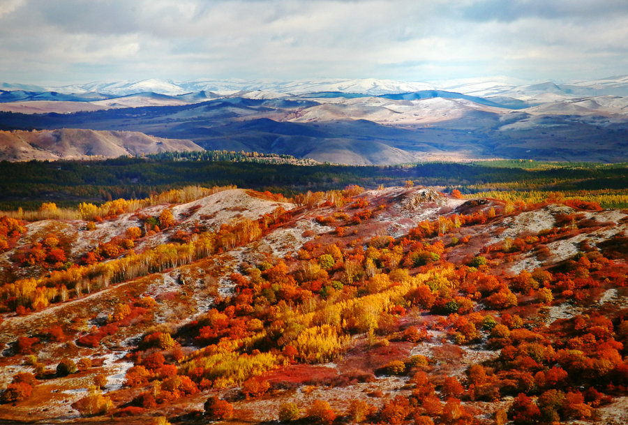 Saihanba National Forest Park inspires art exhibit