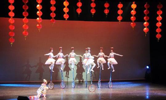 Chinese acrobats perform on grand show in Washington