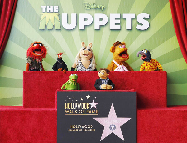 'The Muppets' gets Hollywood fame star