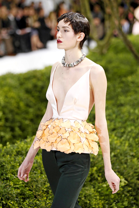 Paris Fashion Week S/S 2013: Dior