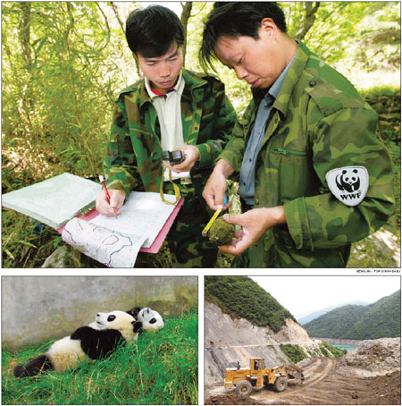 Scientists counting on panda census