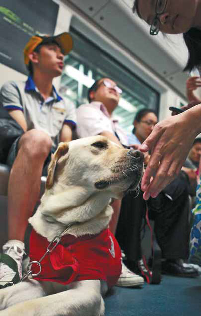 Clear vision for future of guide dogs