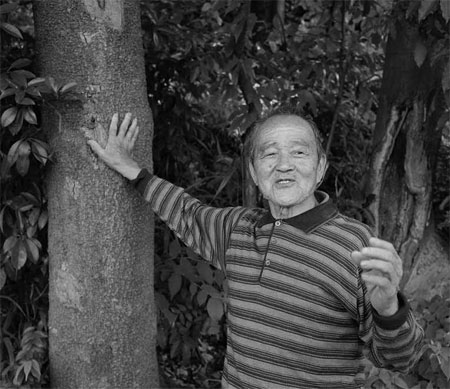 Guardian of the forest