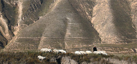 Ningxia residents begin the long climb out of poverty