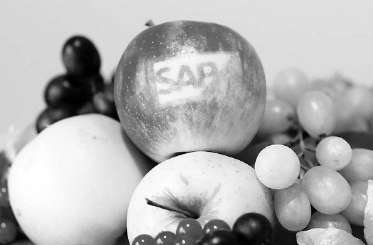 SAP software identifies a fruitful market in China