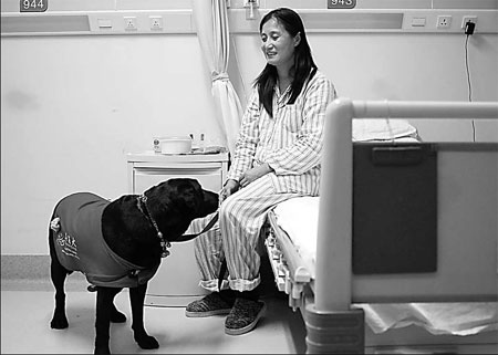 Loyal guide dog sticks by blind owner's bedside