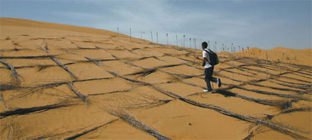 Inner Mongolia to assist in fight against Beijing sandstorms