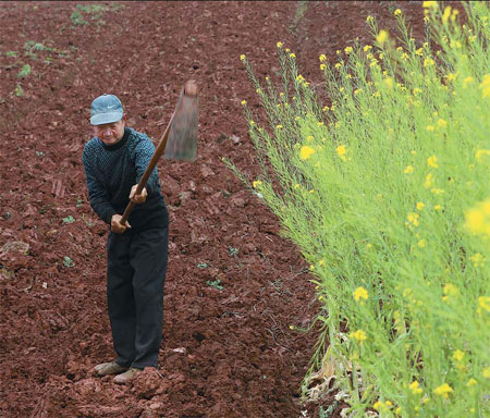 Consequences of long drought devastating