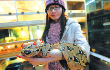 Snakes slither into popularity