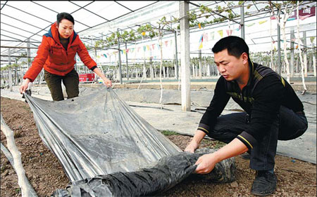 Family farms planting seeds for prosperity