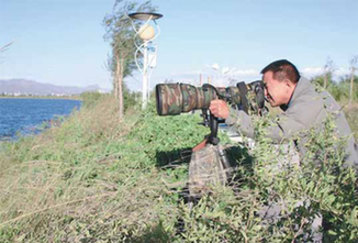 Wetlands a world for birds