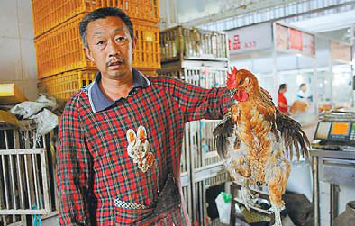 Live poultry industry slowly picking up after H7N9 scare