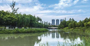 Chengdu Special: Advanced district takes lead in Sichuan capital