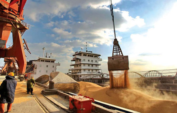 Demand drives soybean imports