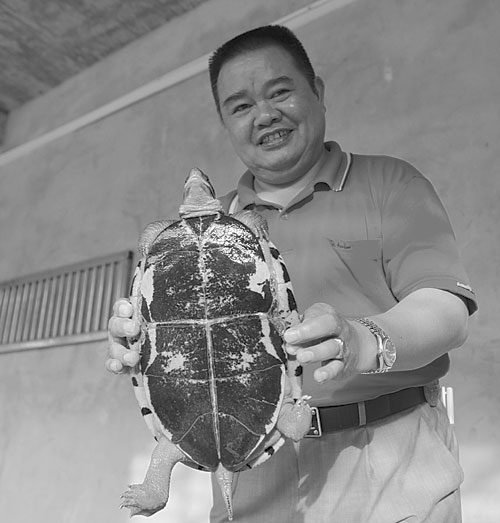 Turtle power propels Qinzhou