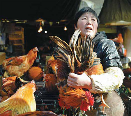 Poultry is safe from H7N9 if cooked properly, official says