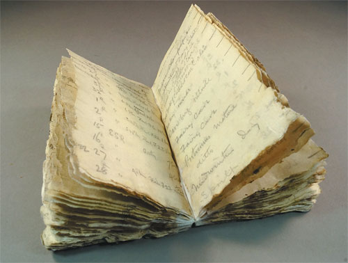 Icebound notebook found after 100 years