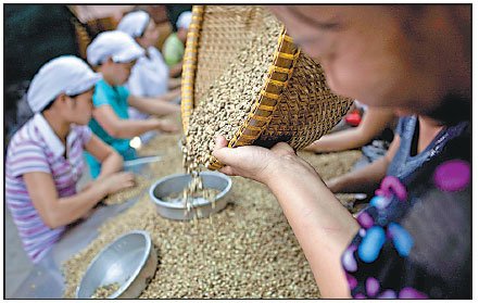 Coffee leaves bad taste as funds hold short bets