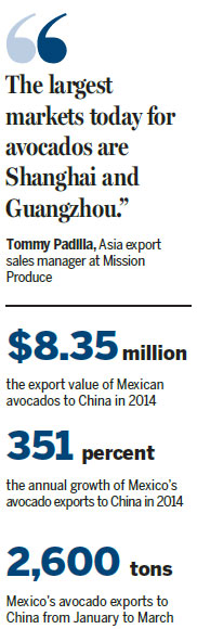 Avocados find sweet spot for surge in growth