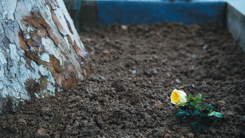 Remembering 'Nanjing's Schindler'