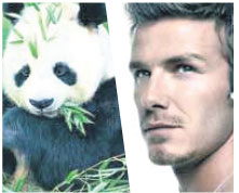 The top 20 things China and Britain have in common