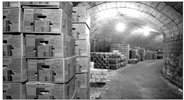 Banana bunkers bloom in Dalian