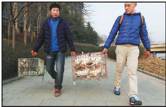 Release of animals into the wild threatens ecosystem