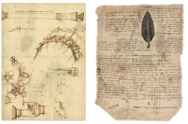 Sample some of da Vinci's genius