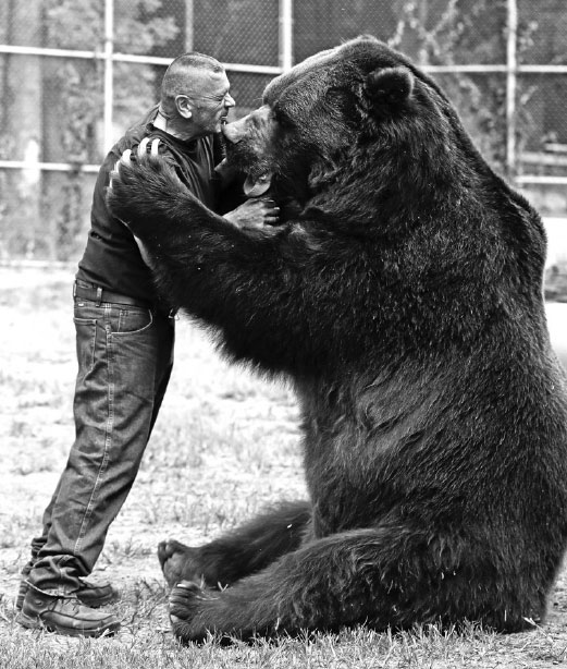 Bear with him: Man catches attention for hugging big bears