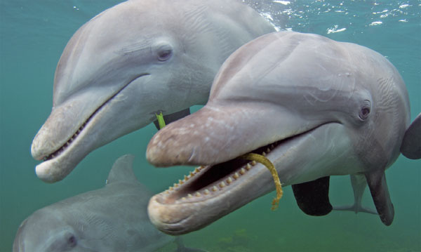 Visual treat for nature lovers