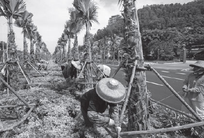 Program brings life back to coastlines