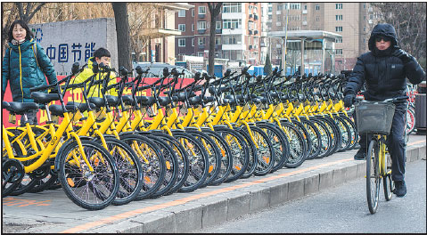 Rider sues bike-sharing firm over injuries