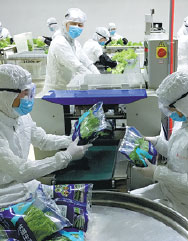 Lab-grown veggies costly but have market