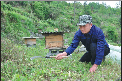 Beekeeping has village buzzing