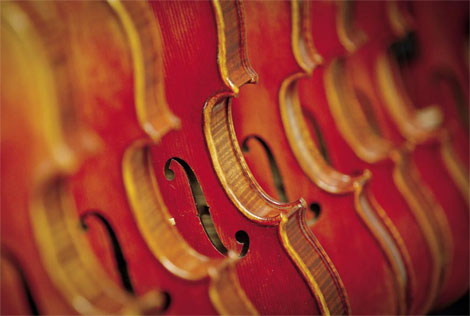 Violin makers carving out a larger niche